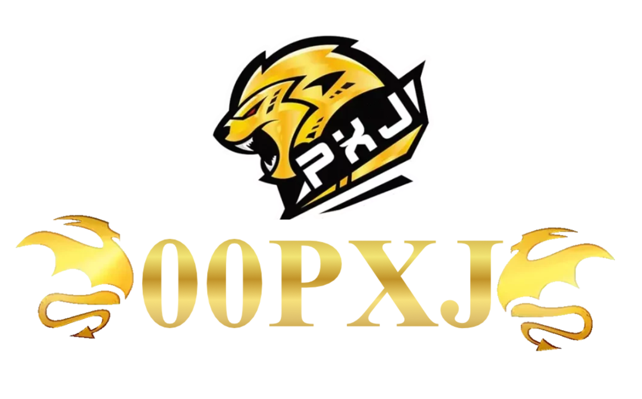 00pxj.net